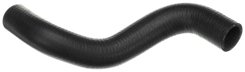 Radiator Hose -