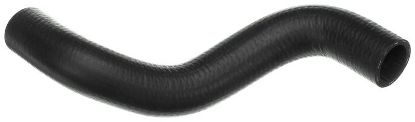 Radiator Hose -