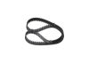 Timing Belt -