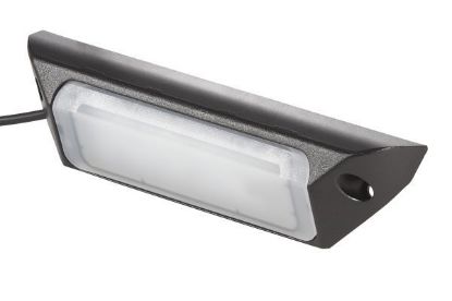 Worklight -