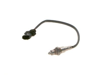 Oxygen Sensor -