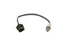 Oxygen Sensor -