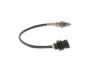 Oxygen Sensor -
