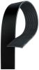 V-Ribbed Belt -