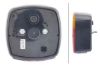 Tail Light Assembly -