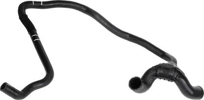 Radiator Hose -