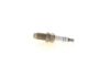 Spark Plug -