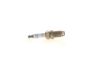 Spark Plug -