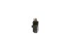 Alternator Regulator -