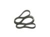 V-Ribbed Belt -