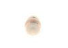 Fuel Filter -