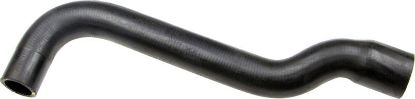 Radiator Hose -