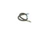 Brake Hose -