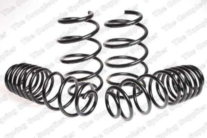 Suspension Set, springs madaldus Ford FIESTA