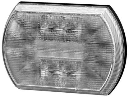Reverse Light -