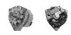 Alternator -