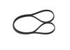 V-Ribbed Belt -