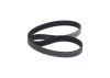 V-Ribbed Belt -