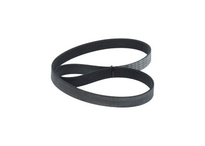 V-Ribbed Belt -