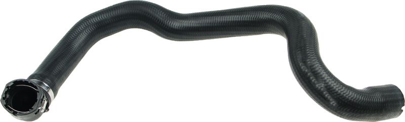 Radiator Hose -