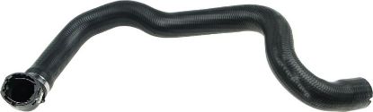 Radiator Hose -
