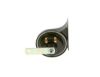 Trumpet Horn -
