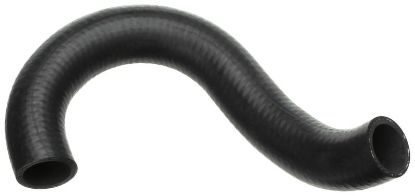 Radiator Hose -
