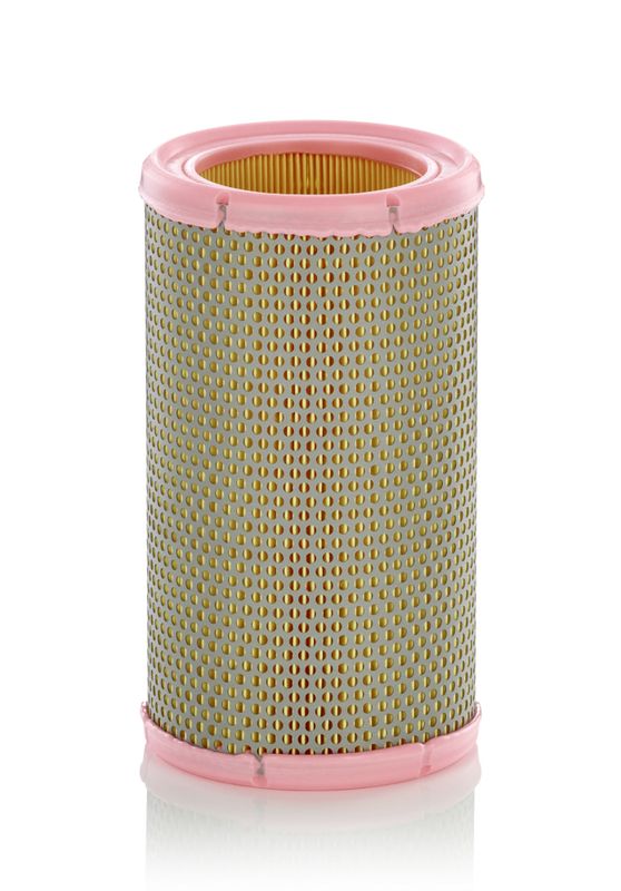Air Filter Citroen, Renault