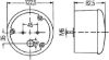 Tail Light Assembly -