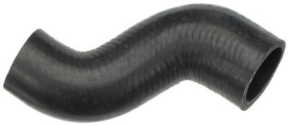 Radiator Hose -