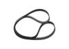 Timing Belt -