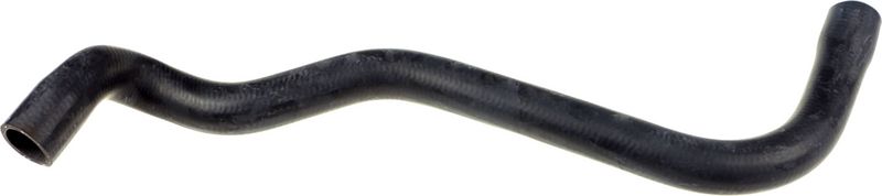 Radiator Hose -