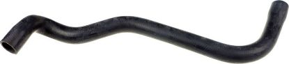 Radiator Hose -