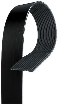 V-Ribbed Belt -