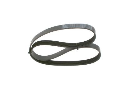 V-Ribbed Belt -