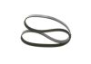V-Ribbed Belt -