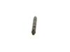 Nozzle and Holder Assembly 500334269 IVECO