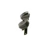 Trumpet Horn -