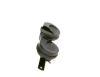 Trumpet Horn -