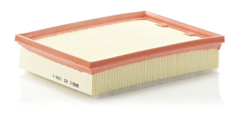 Air Filter Renault Laguna DCi 07-