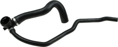 Radiator Hose -