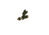 Injector -