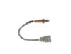 Oxygen Sensor -