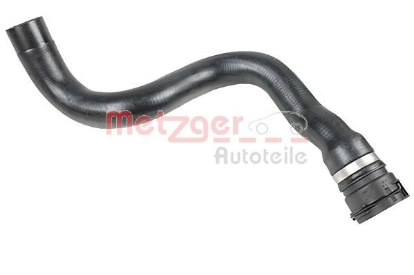 Radiator Hose -