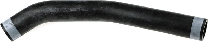 Radiator Hose -
