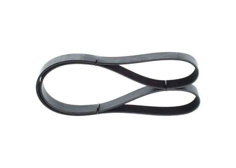 V-Ribbed Belt - V-Ribbed Belt -
