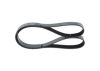 V-Ribbed Belt -
