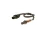Oxygen Sensor -