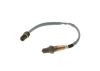 Oxygen Sensor -