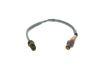 Oxygen Sensor -